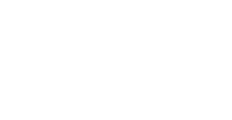NSW Financial Inclusion Network logo