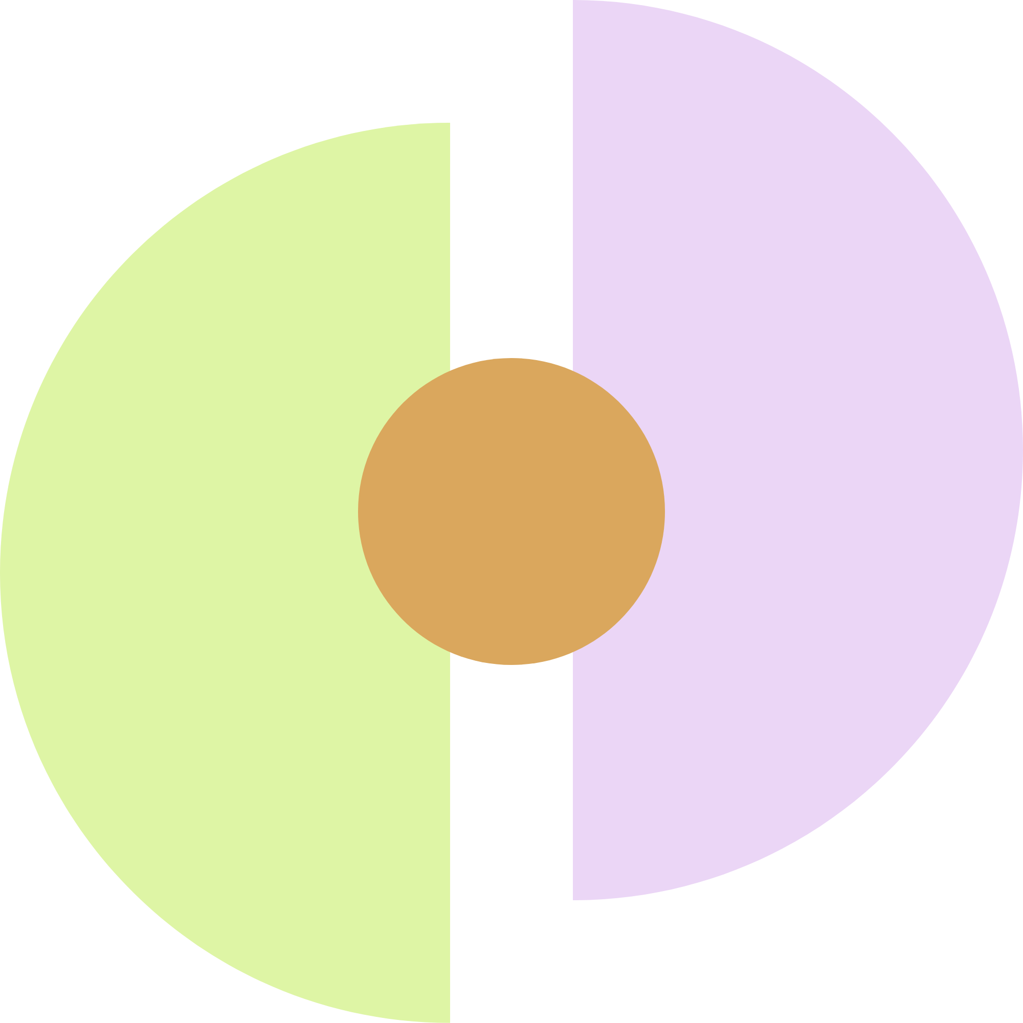 Bridging the Divide logo